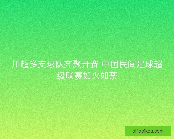 川超多支球队齐聚开赛 中国民间足球超级联赛如火如荼