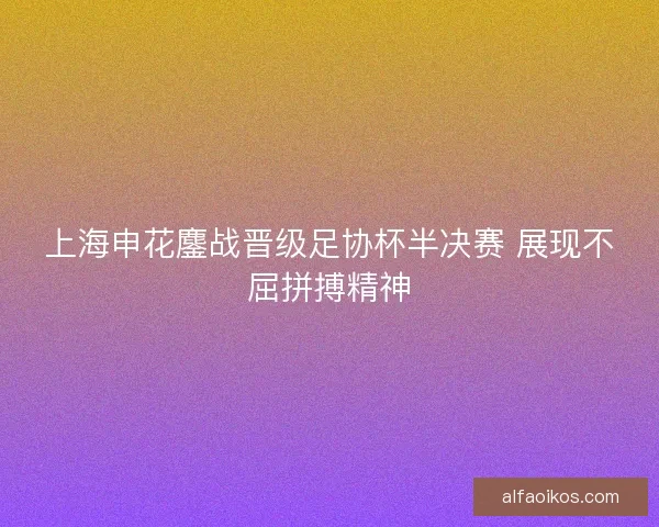 上海申花鏖战晋级足协杯半决赛 展现不屈拼搏精神